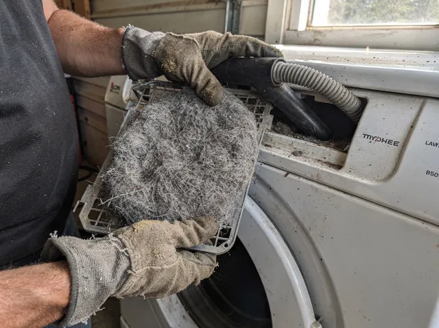 Cleaning Dryer Lint Trap in Beaumont